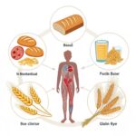 Effect of gluten on the body, including sources like wheat, barley, and rye, and its impact on digestion and gut health.